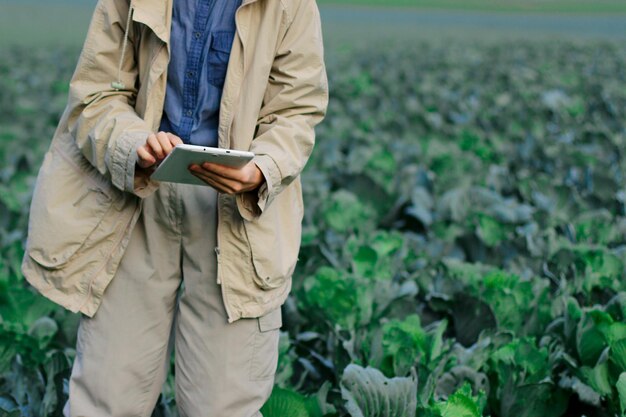 L'agriculteur contrôle la qualité de la récolte de choux avant la récolte Femme agronome utilisant une tablette numérique et la technologie moderne dans le domaine agricole