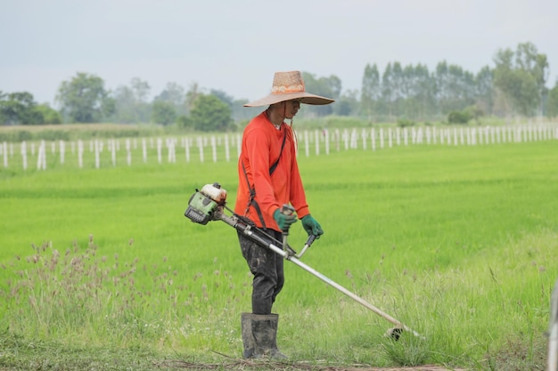 Un agriculteur coupe l'herbe avec une tondeuse à gazon