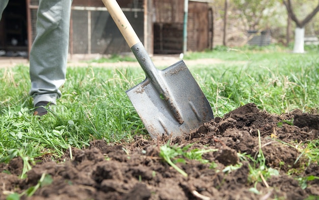 L'agriculteur creuse le sol avec une pelle dans le jardin.