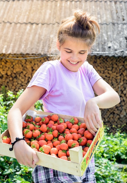 Un agriculteur cueille des fraises dans un buisson.