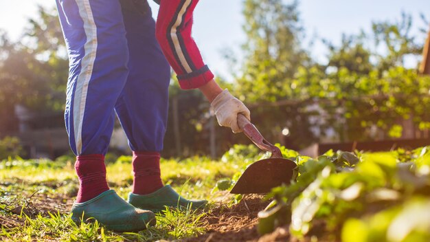 Agriculteur cultivant des terres dans le jardin avec des outils à main Ameublissement du sol Concept de jardinage Travail agricole sur la plantation