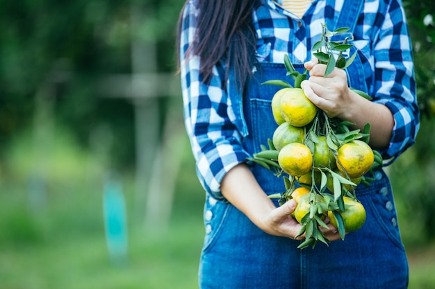 Agriculteur dame orange, les jardiniers ramassent orange, Orange Garden.