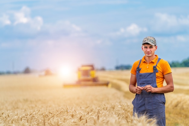 Agriculteur dans le champ de blé avec moissonneuse-batteuse en arrière-plan. Ciel bleu au-dessus.