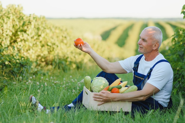 Agriculteur dans un champ tenant une boîte de légumes