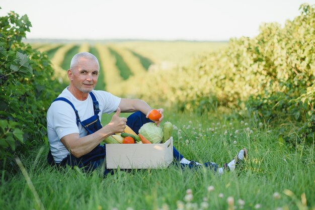 Agriculteur dans un champ tenant une boîte de légumes