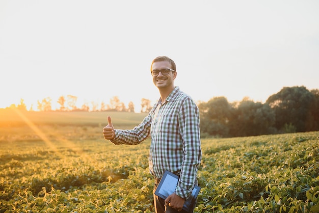 Agriculteur dans les champs de soja. Croissance, extérieur.