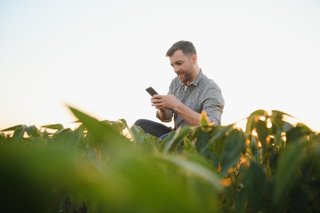 Agriculteur dans les champs de soja Croissance en plein air