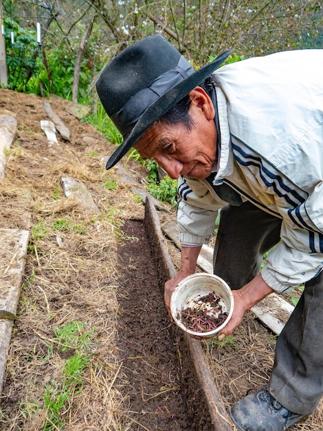 Agriculteur dans une ferme biologique dans les montagnes de Cusco