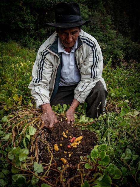 Agriculteur dans une ferme biologique dans les montagnes du Pérou