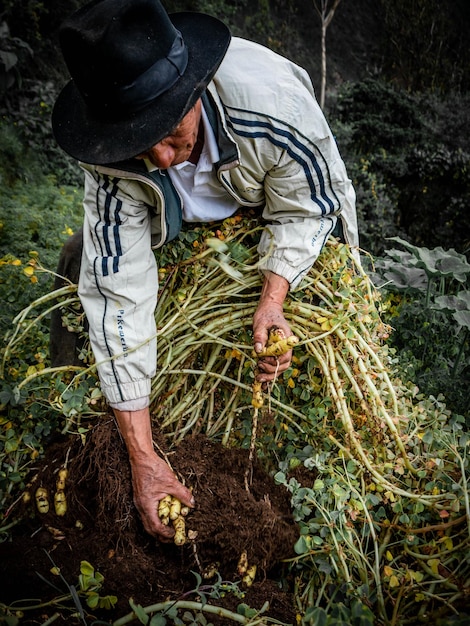 Agriculteur dans une ferme biologique dans les montagnes du Pérou