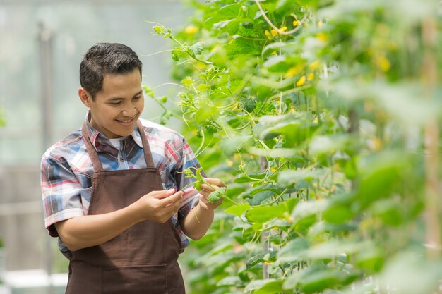 Agriculteur dans la ferme de la maison verte