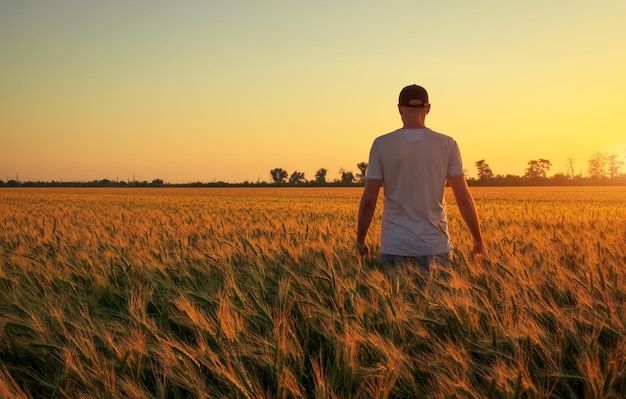 Agriculteur debout dans un champ de blé pendant le coucher du soleil L'homme aime la nature