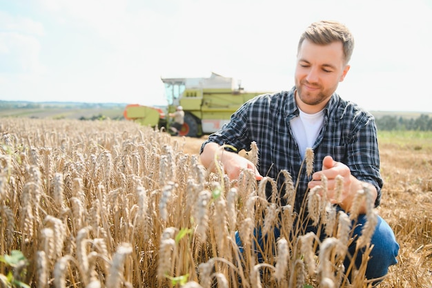 Agriculteur debout dans un champ de blé à la récolte