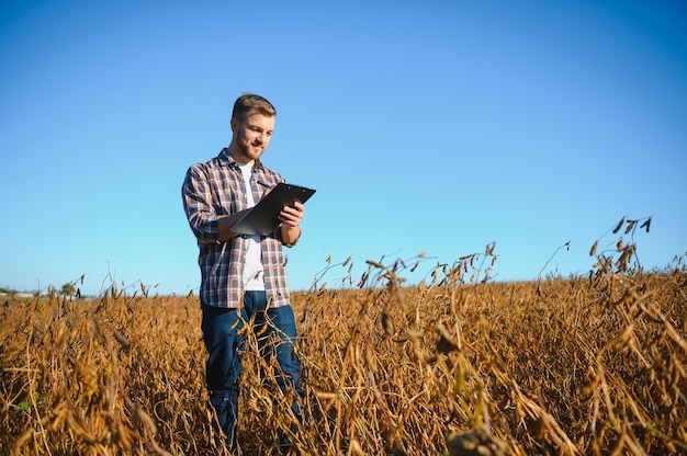 Agriculteur debout dans un champ de soja examinant la récolte au coucher du soleil.