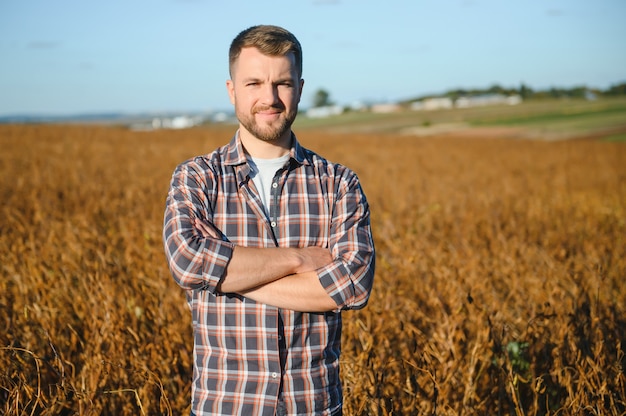 Agriculteur debout dans un champ de soja examinant la récolte au coucher du soleil.