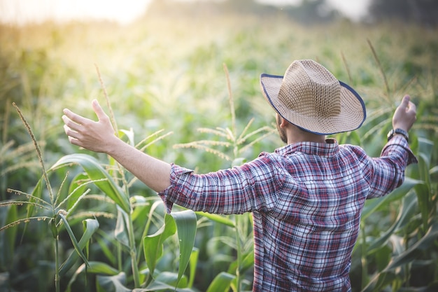 Agriculteur debout fier devant son champ de maïs tout en journée d&#39;été ensoleillée.