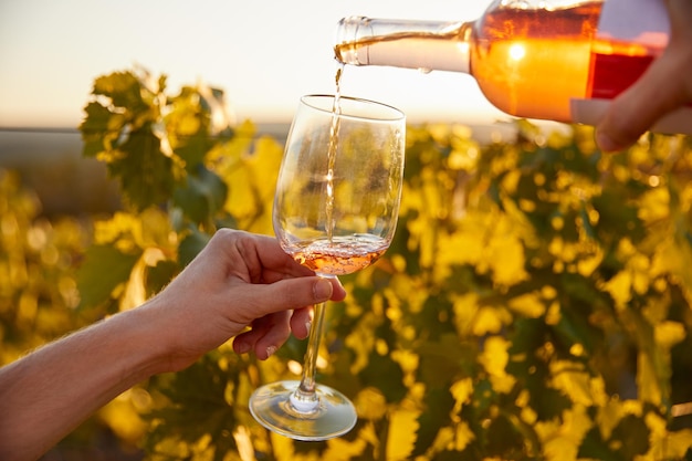 Agriculteur dégustant du vin rosé