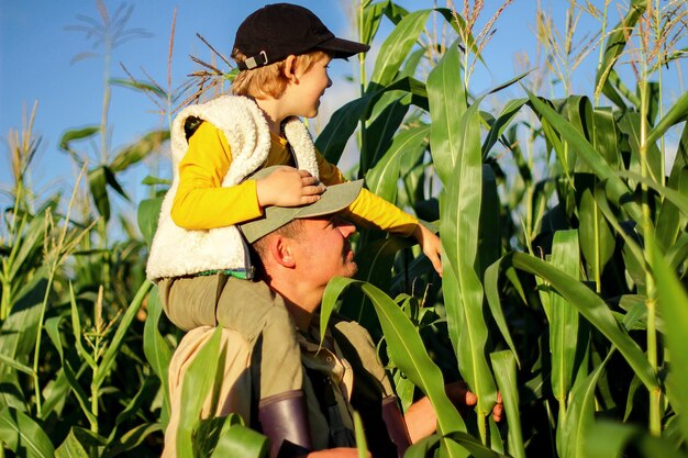 Un agriculteur avec un enfant récolte du maïs dans le champ une ferme familiale agricole la fête des pères