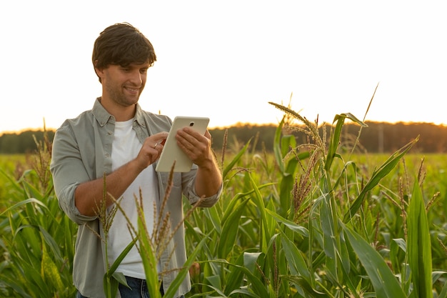 L'agriculteur étudie la qualité de la production de maïs dans le domaine de l'agriculture et utilise une tablette