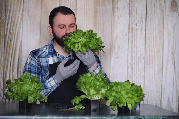 L'agriculteur fait pousser des feuilles de laitue fraîches pour la préparation de plats savoureux