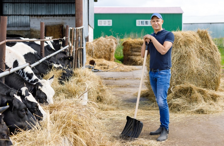 Photo agriculteur à la ferme avec des vaches laitières
