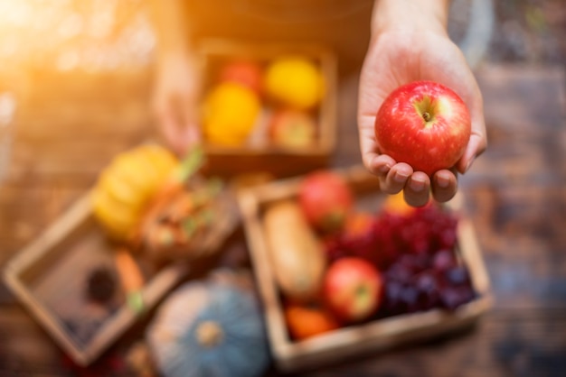 Agriculteur avec des fruits frais sur les mains. Corne d'abondance des récoltes d'automne. Saison d'automne avec des fruits et légumes. Concept de jour de Thanksgiving.