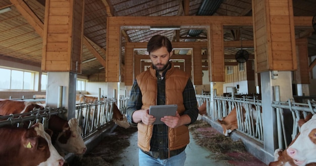 Agriculteur en gilet orange à l'aide d'une tablette dans une étable moderne d'une ferme laitière Propriétaire de l'agro-industrie vérifiant les données de maintien de la tablette PC dans l'élevage Concept professionnel de fabrication de traite