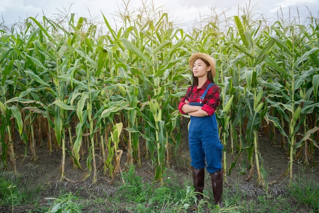Agriculteur heureux dans le champ de maïs
