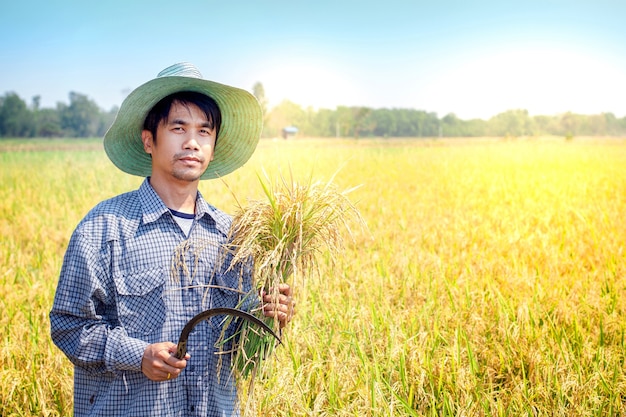 Agriculteur homme asiatique tenant faucille et paddy