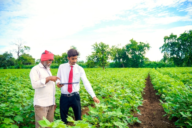 Agriculteur indien avec agronome au champ de coton, montrant des informations sur l'onglet