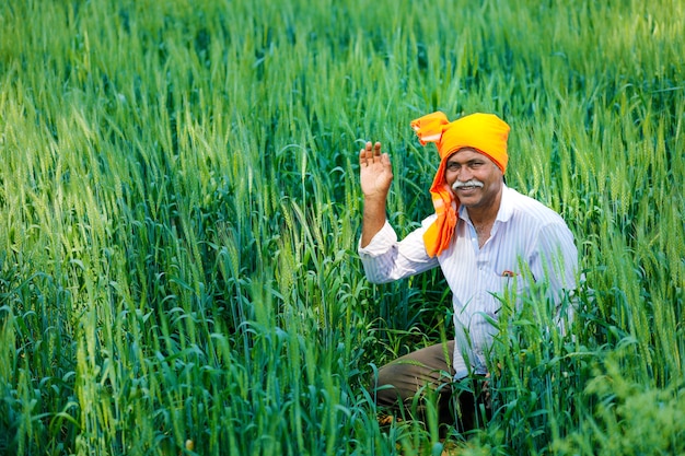 Agriculteur indien au champ de blé doré