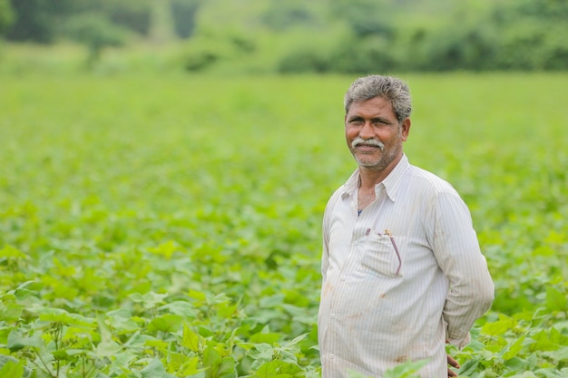 Photo agriculteur indien dans une ferme de coton