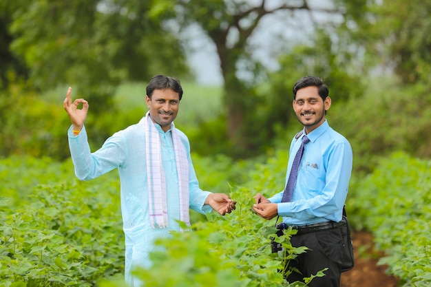 Agriculteur indien discutant avec l'agronome à la ferme et recueillant des informations