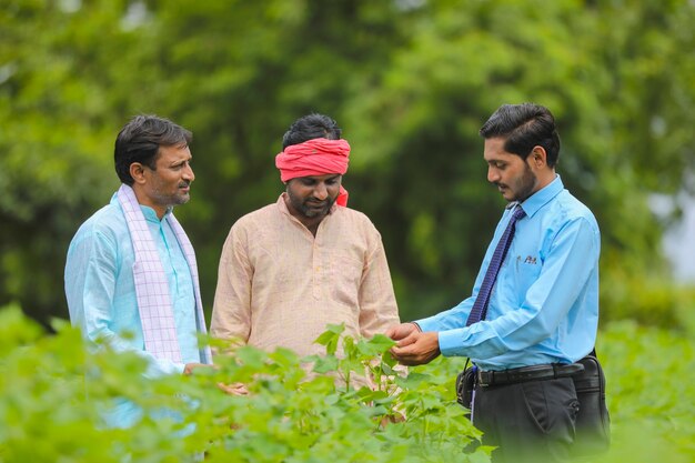 Agriculteur indien discutant avec l'agronome à la ferme et recueillant des informations