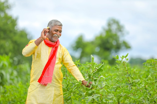 Agriculteur indien parlant au téléphone mobile au domaine de l'agriculture