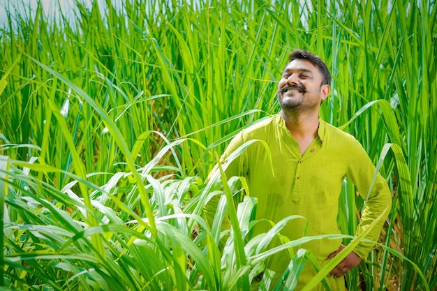 Agriculteur indien se sentant heureux et fier dans le champ de canne à sucre