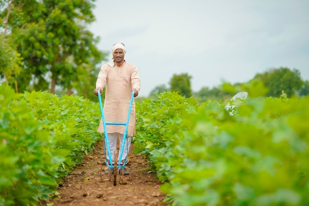 Agriculteur indien travaillant dans le domaine de l'agriculture de coton vert.