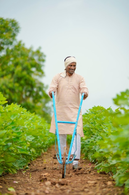 Agriculteur indien travaillant dans le domaine de l'agriculture de coton vert.