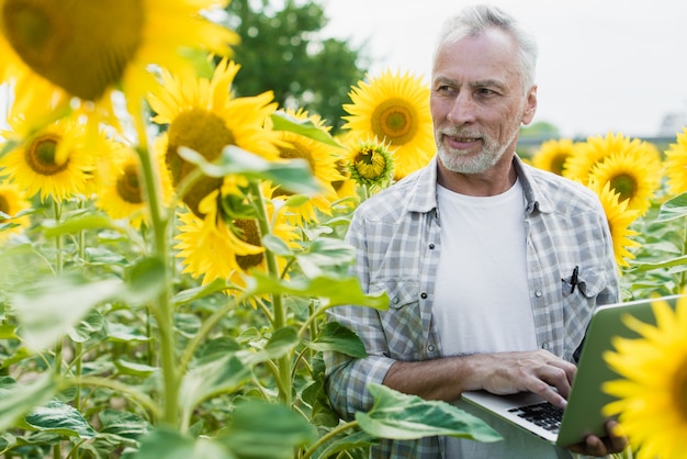 Agriculteur inspectant champ de tournesol été ensoleillé