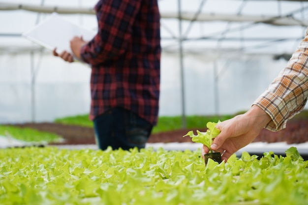 Agriculteur inspectant la ferme biologique