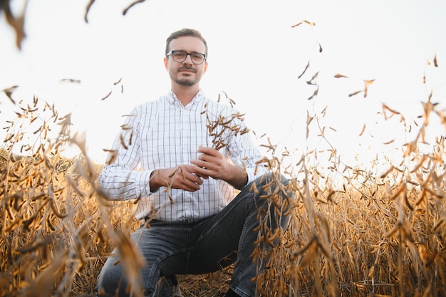 Un agriculteur inspecte un champ de soja Le concept de la récolte