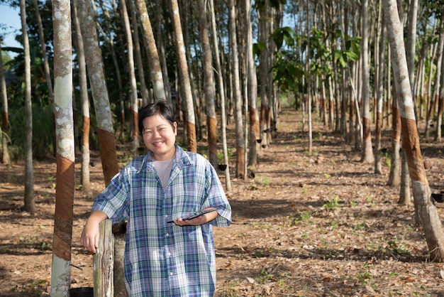 Agriculteur intelligent Plantation d'hévéas