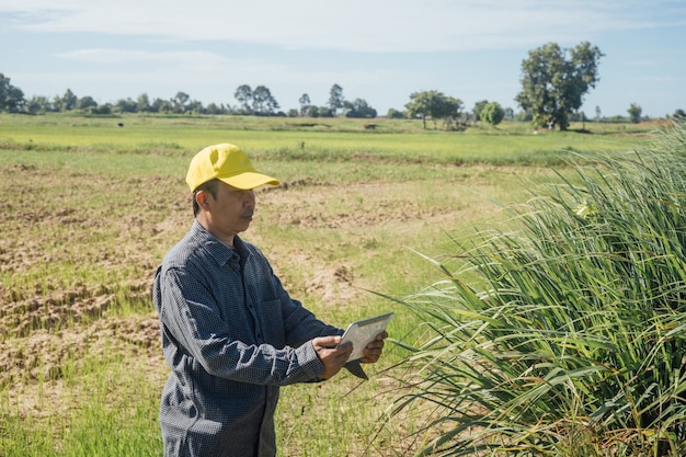 Un agriculteur intelligent utilise une tablette pour surveiller et analyser les cultures de sa ferme pendant une journée ensoleillée.