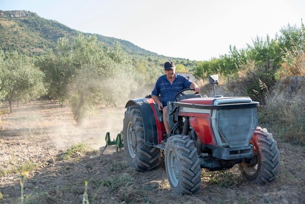 Un agriculteur labourant dans un verger avec un tracteur