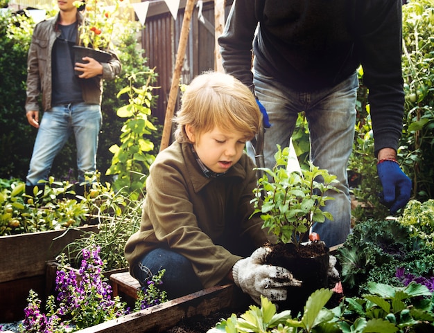 Photo agriculteur avec des légumes biologiques