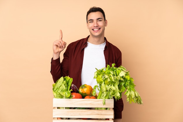 Agriculteur avec des légumes fraîchement cueillis dans une boîte sur le mur beige montrant et levant un doigt en signe du meilleur