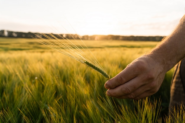 Agriculteur marchant dans un champ