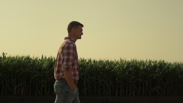 Agriculteur marchant sur les terres agricoles de maïs au soleil du matin