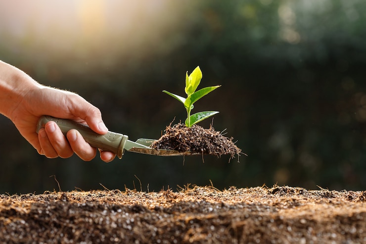 Photo agriculteur plantant de jeunes pousses dans un sol fertile.