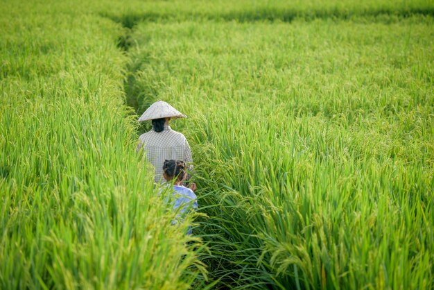 Un agriculteur portant un chapeau vietnamien